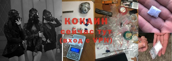 прущие крисы Балахна
