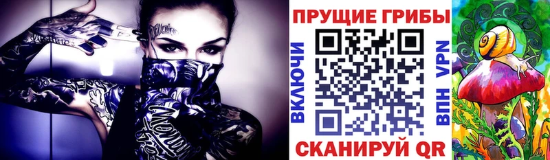 Галлюциногенные грибы ЛСД  как найти наркотики  Бодайбо 